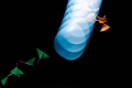 globo-ii-4.jpg