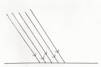absorción
