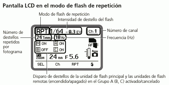 master-rpt