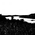 1bit
