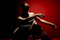 danza-color-2.jpg